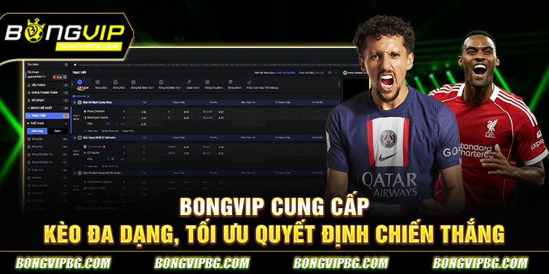 Bongvip cung cấp kèo đa dạng, tối ưu quyết định chiến thắng
