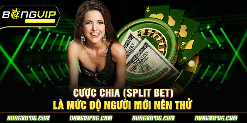Cược chia (Split Bet) là mức độ người mới nên thử