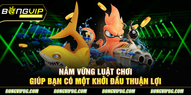Nắm vững luật chơi giúp bạn có một khởi đầu thuận lợi