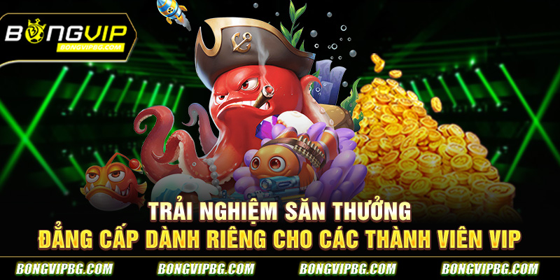 Trải nghiệm săn thưởng đẳng cấp dành riêng cho các thành viên vip